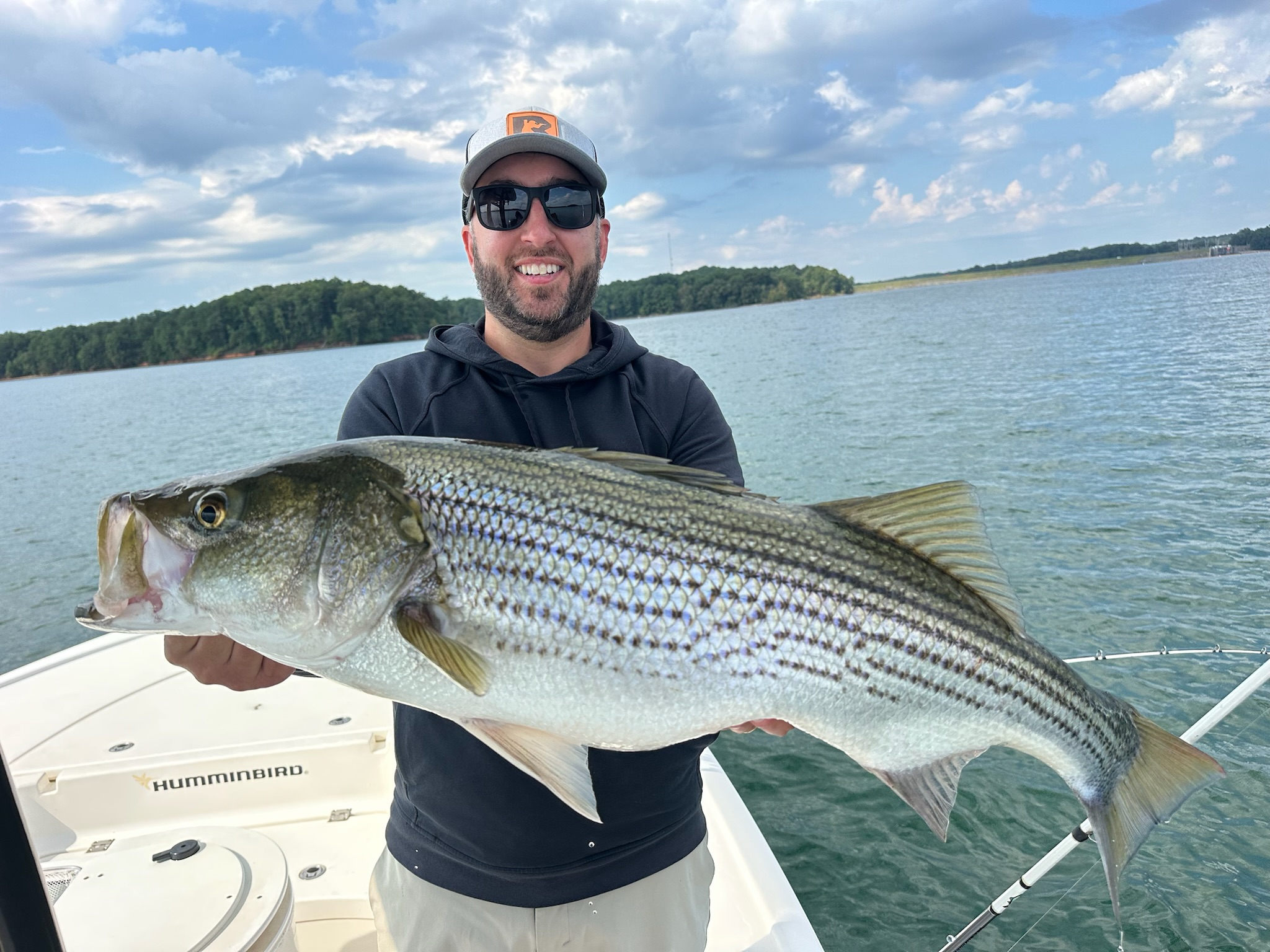Casey Foster — your guide