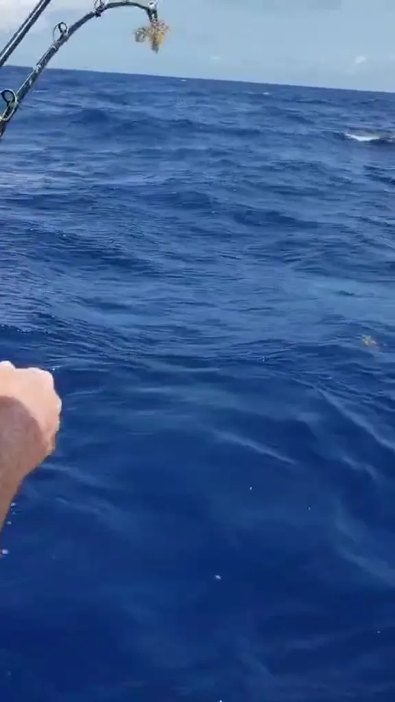 AA Fishing Charter - Aquaholics Aknotymous - fishing guide services