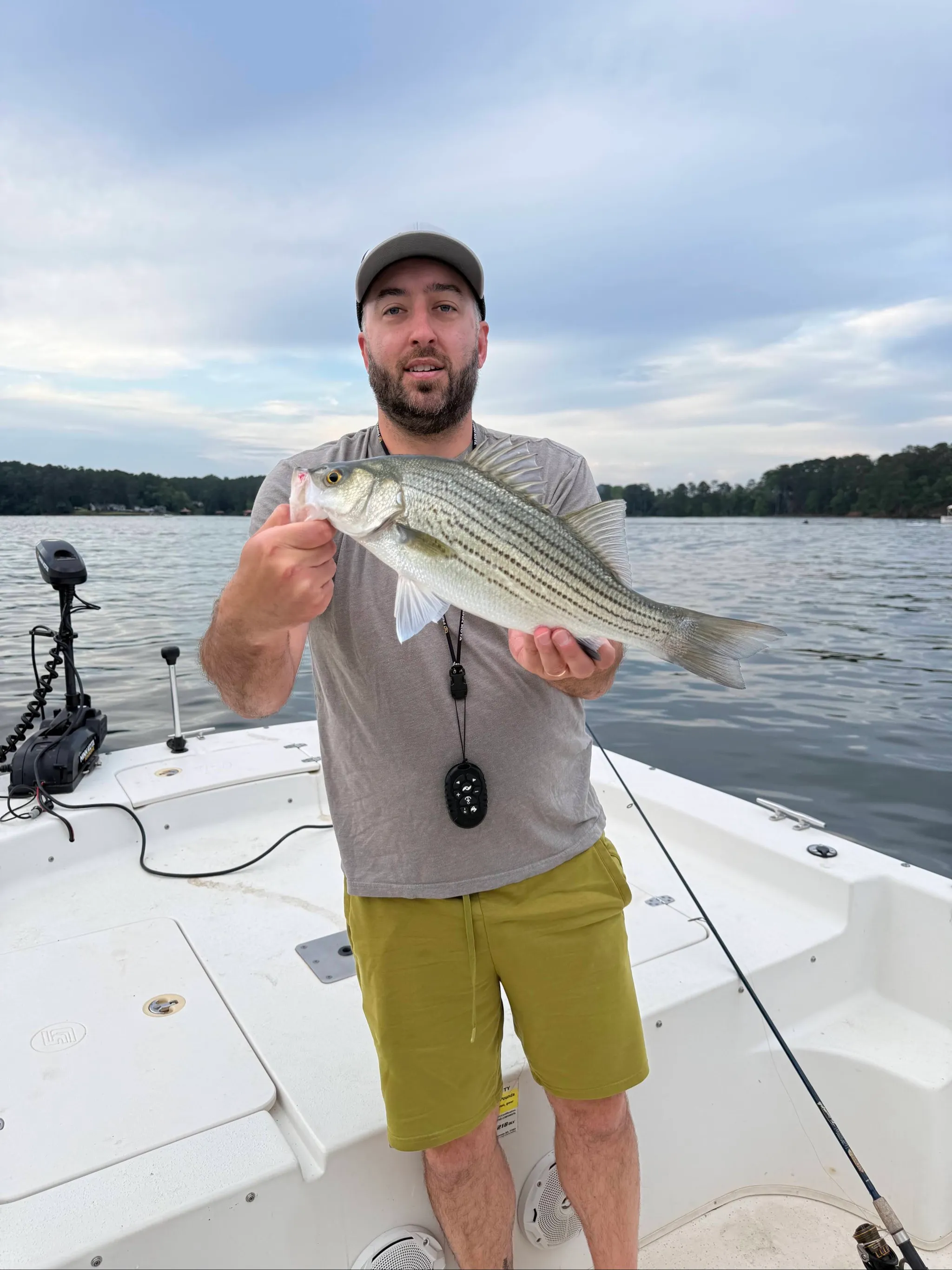 Wednesday, August 5