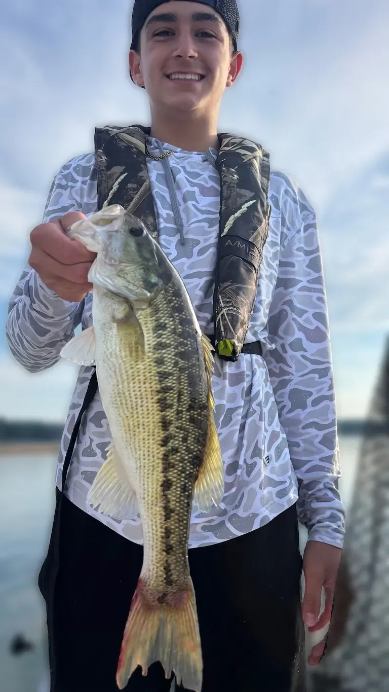 Lake Lanier fishing — May 2026