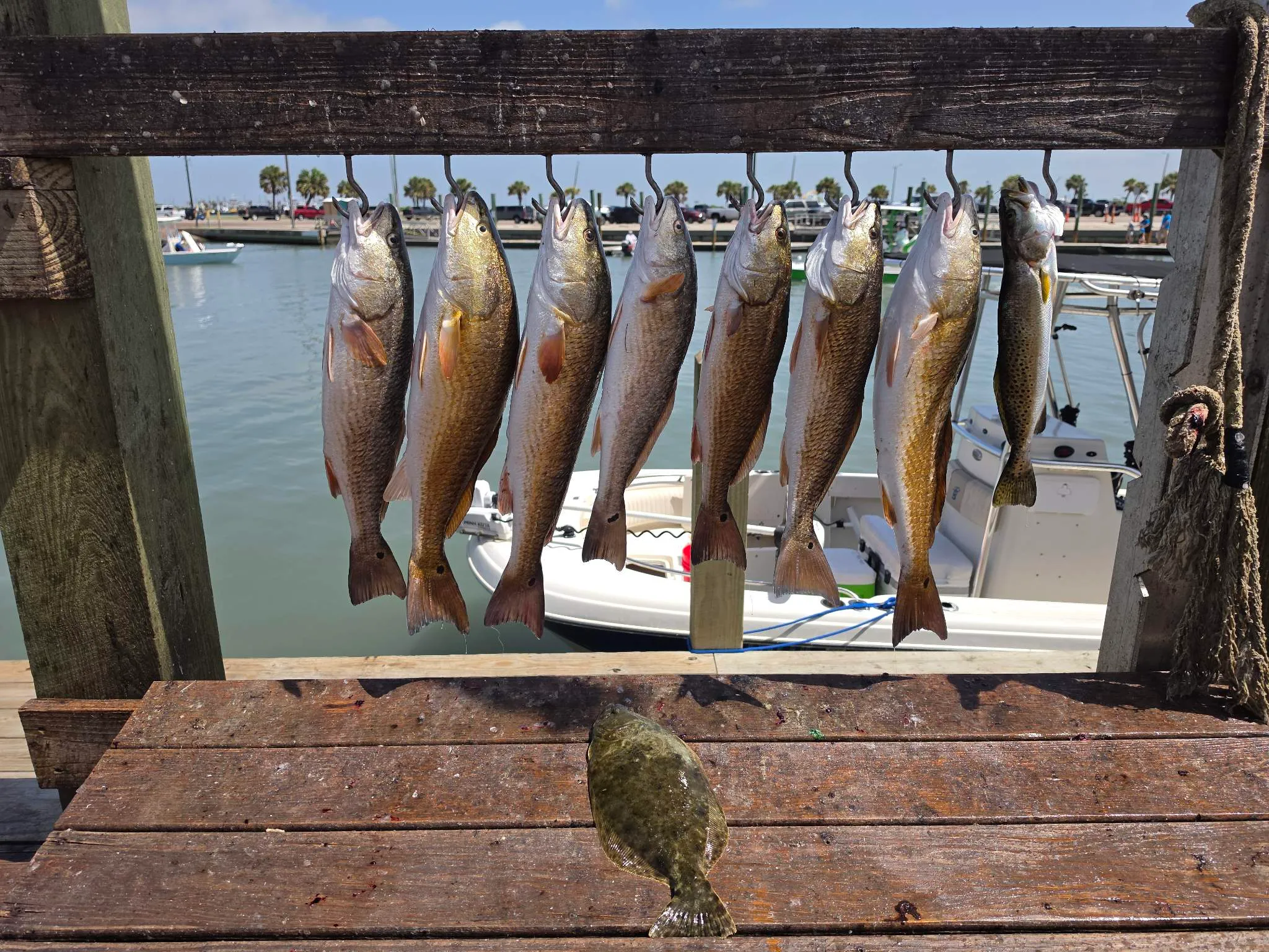 Port aransas fishing — September 2026