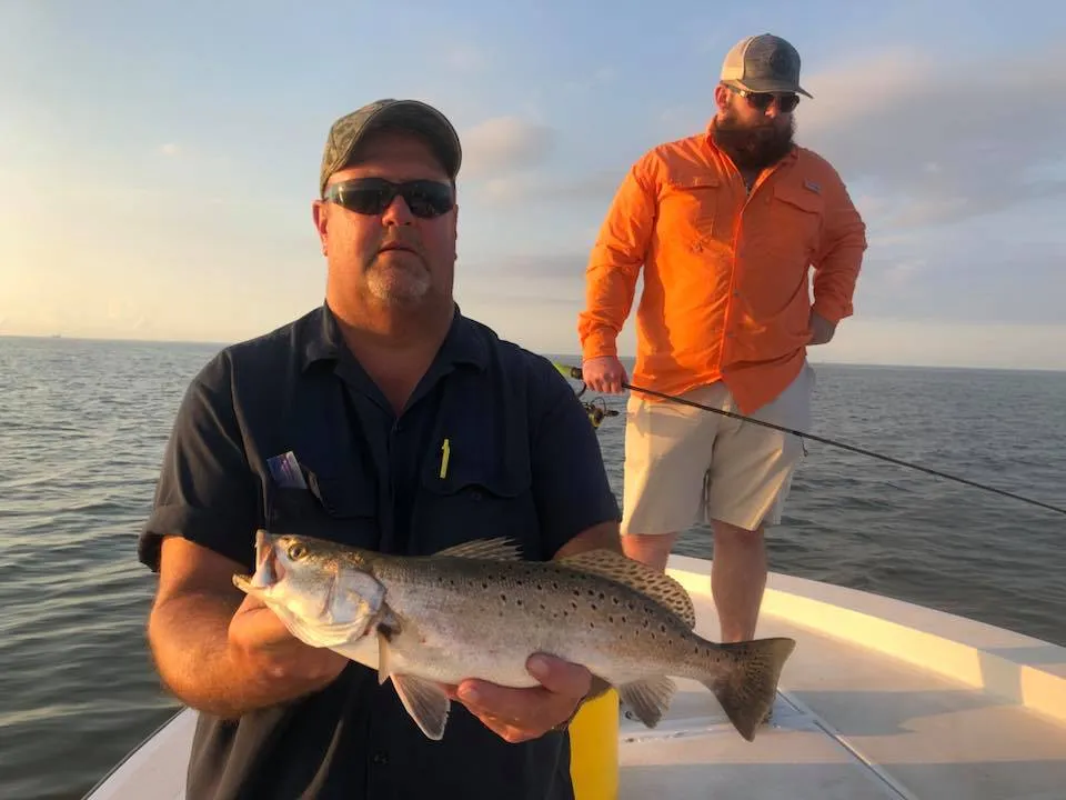 Speckled Trout
