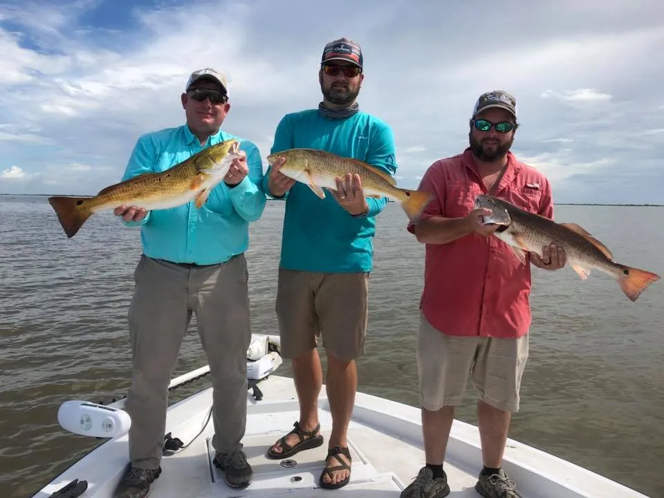 Photo from Venice Charters Unlimited, LLC