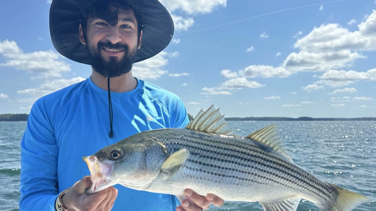 Stripers and spotted bass on Lake Lanier
