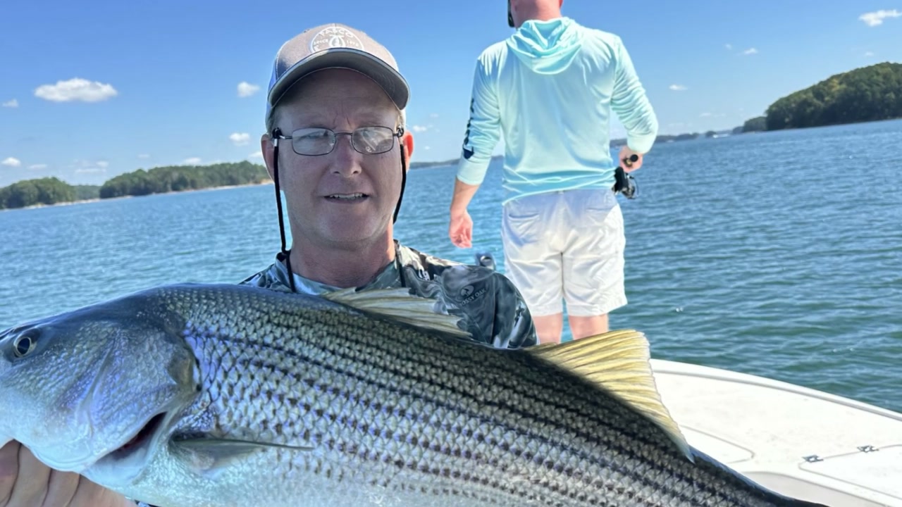 A nine-striper day on Lake Lanier