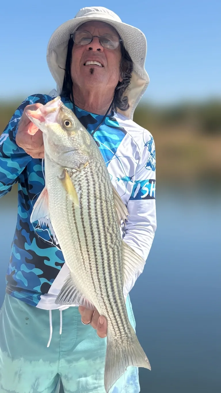 Striped bass caught on Lake Lanier, Sept 20, 2026