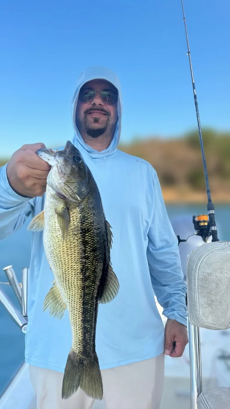 Spotted bass caught on Lake Lanier, Sept 20, 2026